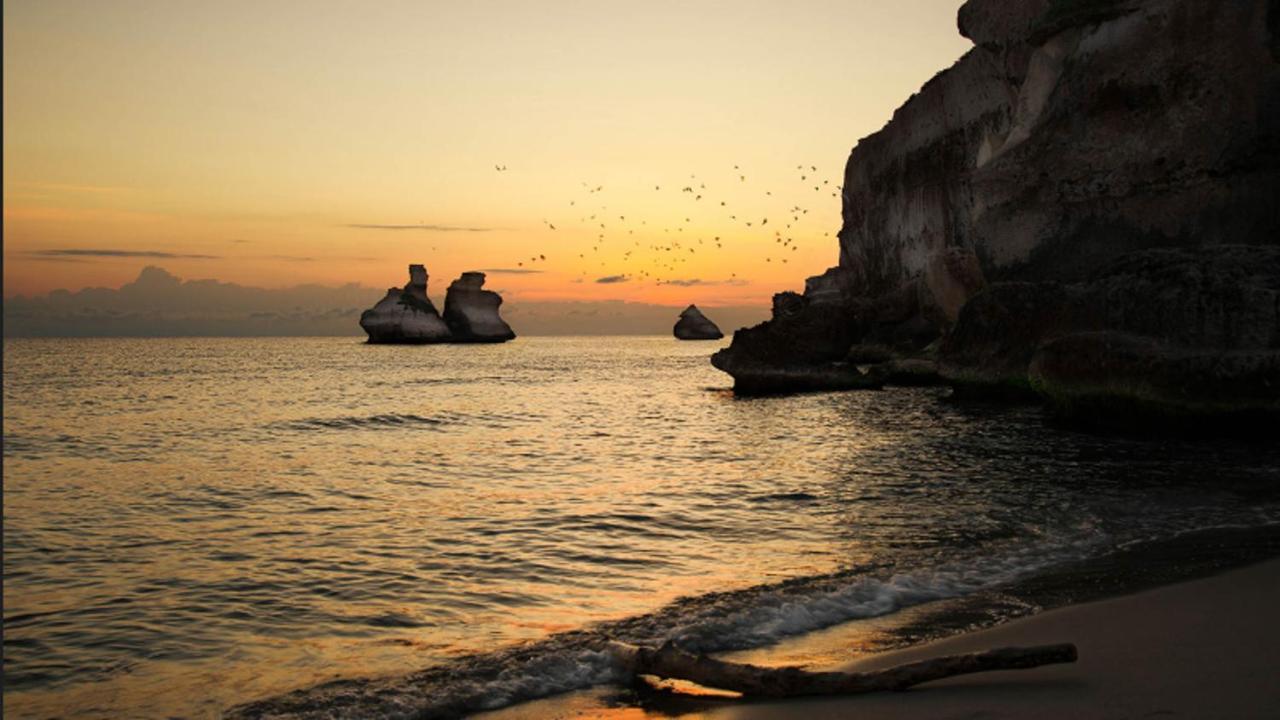 B&B Putignani 181 Bari Bagian luar foto